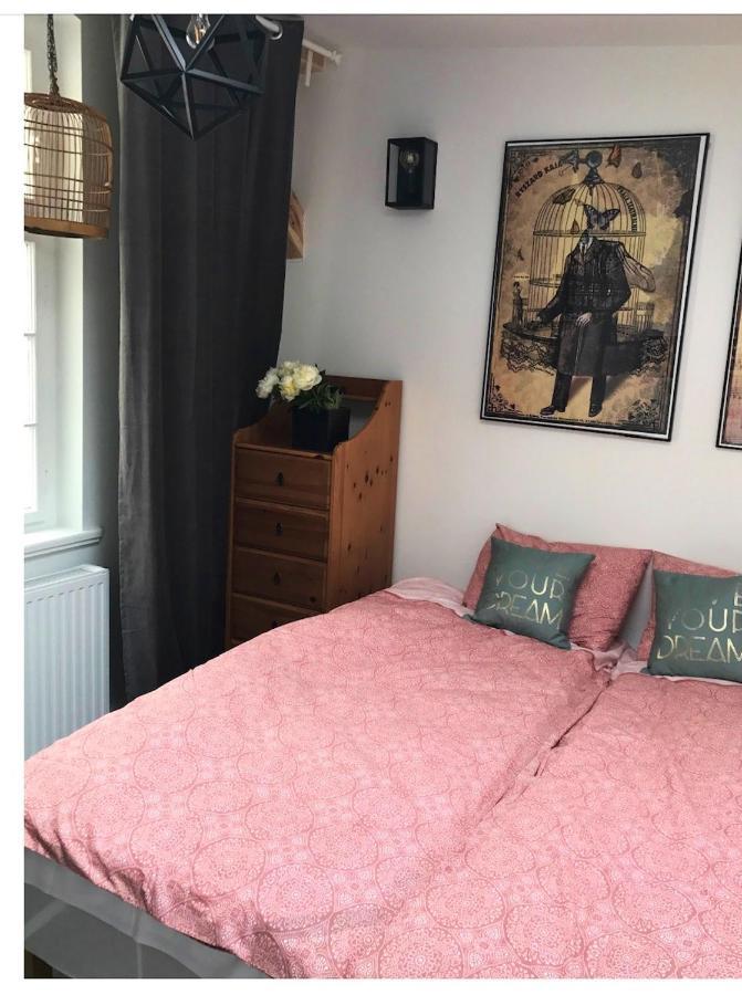 Apartament Sopocki Kosciuszki 44 索波特 外观 照片