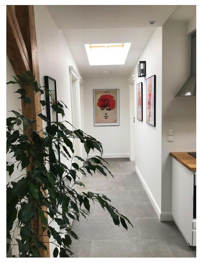 Apartament Sopocki Kosciuszki 44 索波特 外观 照片