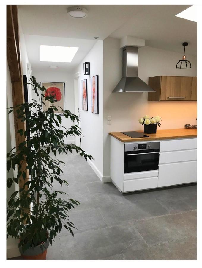 Apartament Sopocki Kosciuszki 44 索波特 外观 照片